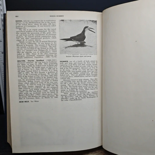 Encyclopedia Americana Vol.24 รูปที่ 10