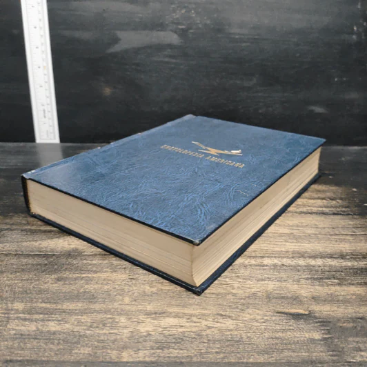 Encyclopedia Americana Vol.23 รูปที่ 4