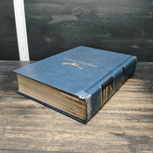 Encyclopedia Americana Vol.20 รูปที่ 5