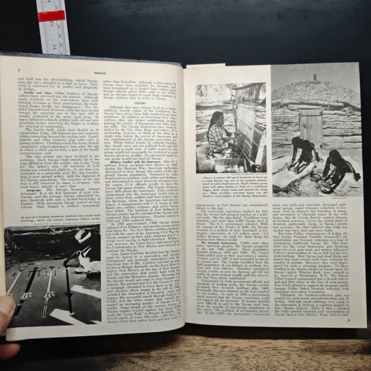 Encyclopedia Americana Vol.20 รูปที่ 8