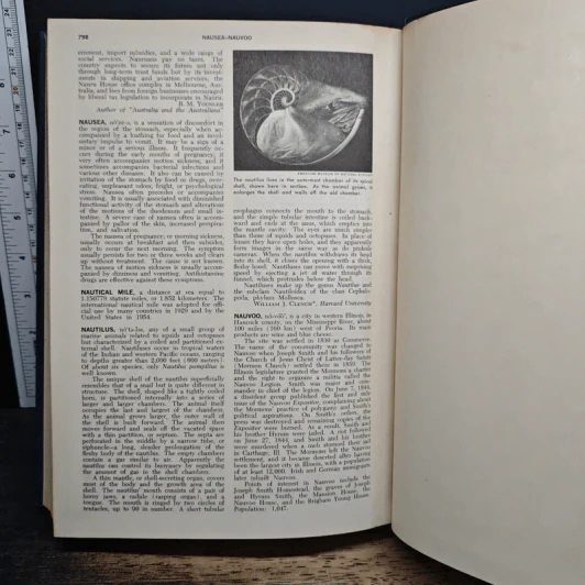 Encyclopedia Americana Vol.19 รูปที่ 10