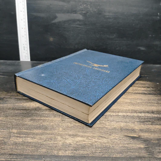 Encyclopedia Americana Vol.18 รูปที่ 4