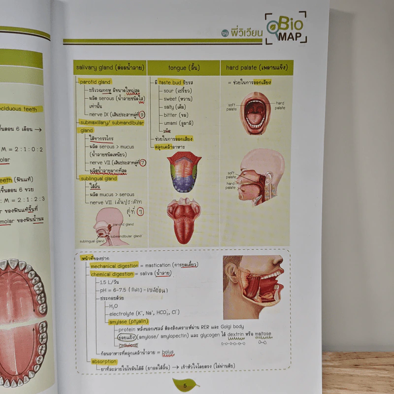 Bio Map ชีววิทยาพี่วิเวียน เล่ม 2 - พี่วิเวียน รูปที่ 10
