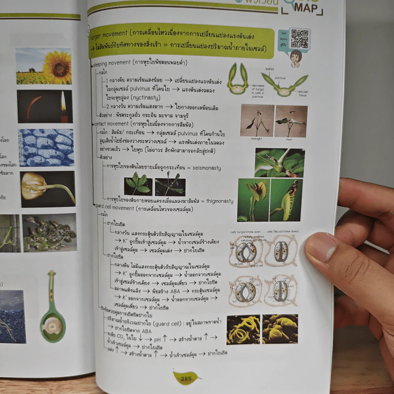 Bio Map ชีววิทยาพี่วิเวียน เล่ม 2 - พี่วิเวียน รูปที่ 11