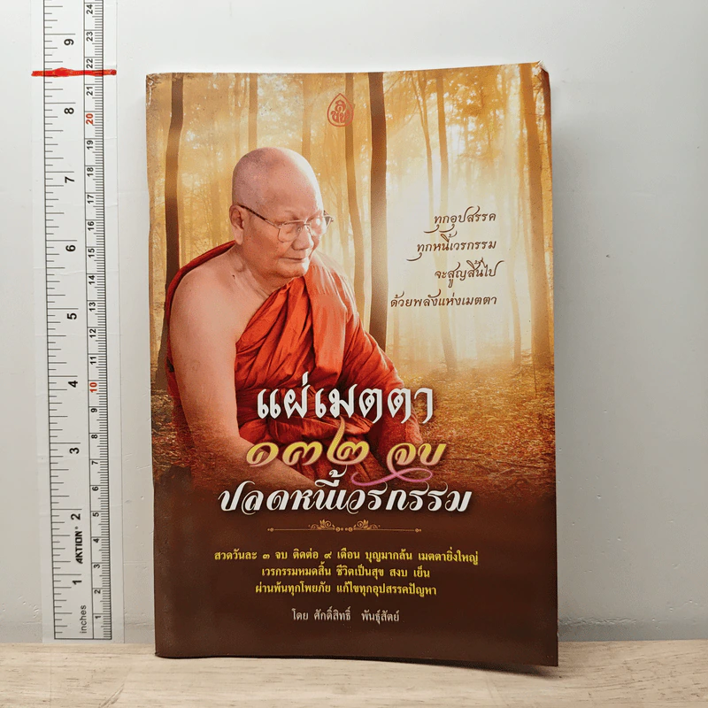 แผ่เมตตา 132 จบ ปลดหนี้เวรกรรม - ศักดิ์สิทธิ์ พันธุ์สัตย์ รูปที่ 1