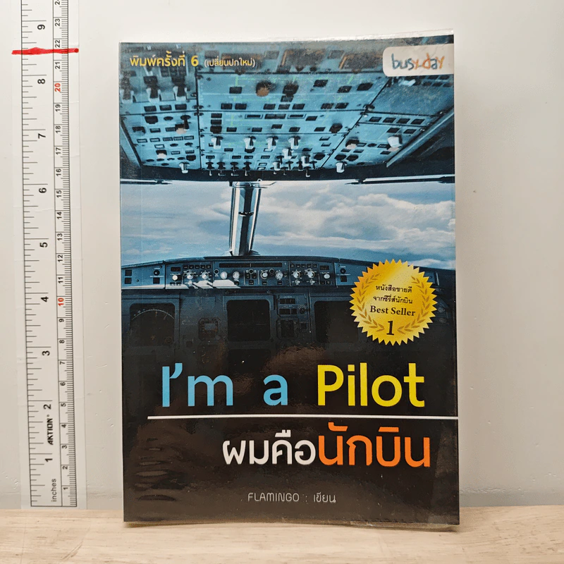 I'm a Pilot ผมคือนักบิน - Flamingo รูปที่ 1