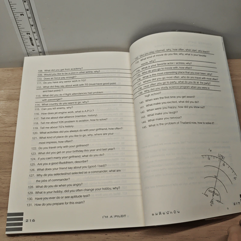 I'm a Pilot ผมคือนักบิน - Flamingo รูปที่ 11