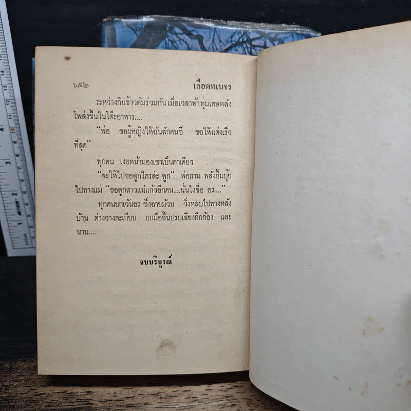 เลือดพเนจร 2 เล่มจบ - ไพร วิษณุ รูปที่ 9