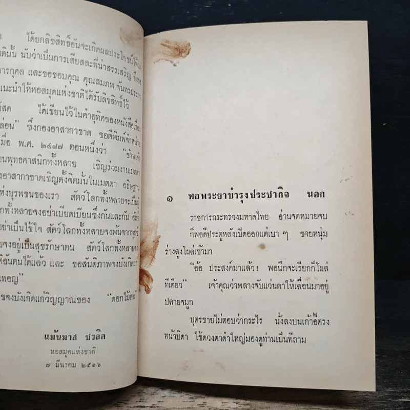 ศัตรูของเจ้าหล่อน - ดอกไม้สด รูปที่ 8