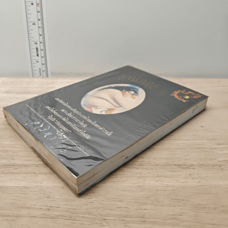 ก้านกฤษณา เล่ม 2 - อาริตา รูปที่ 3