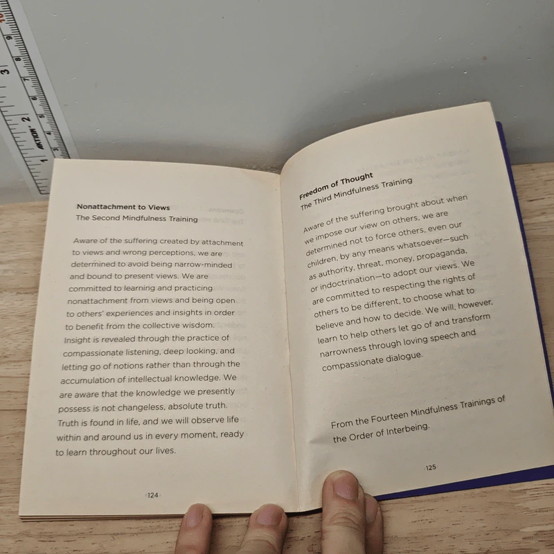 How to See - Thich Nhat Hanh รูปที่ 8