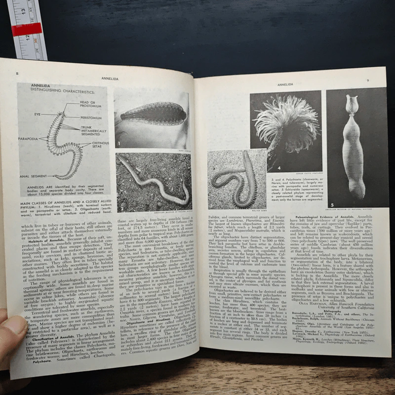 Encyclopedia Americana Vol.2 รูปที่ 9
