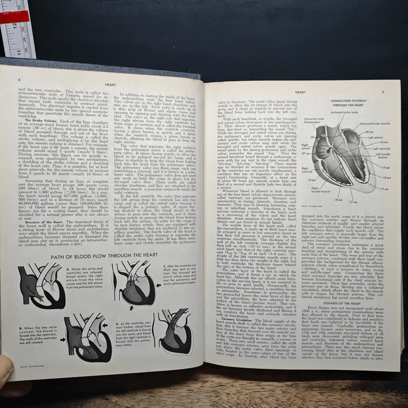 Encyclopedia Americana Vol.14 รูปที่ 9