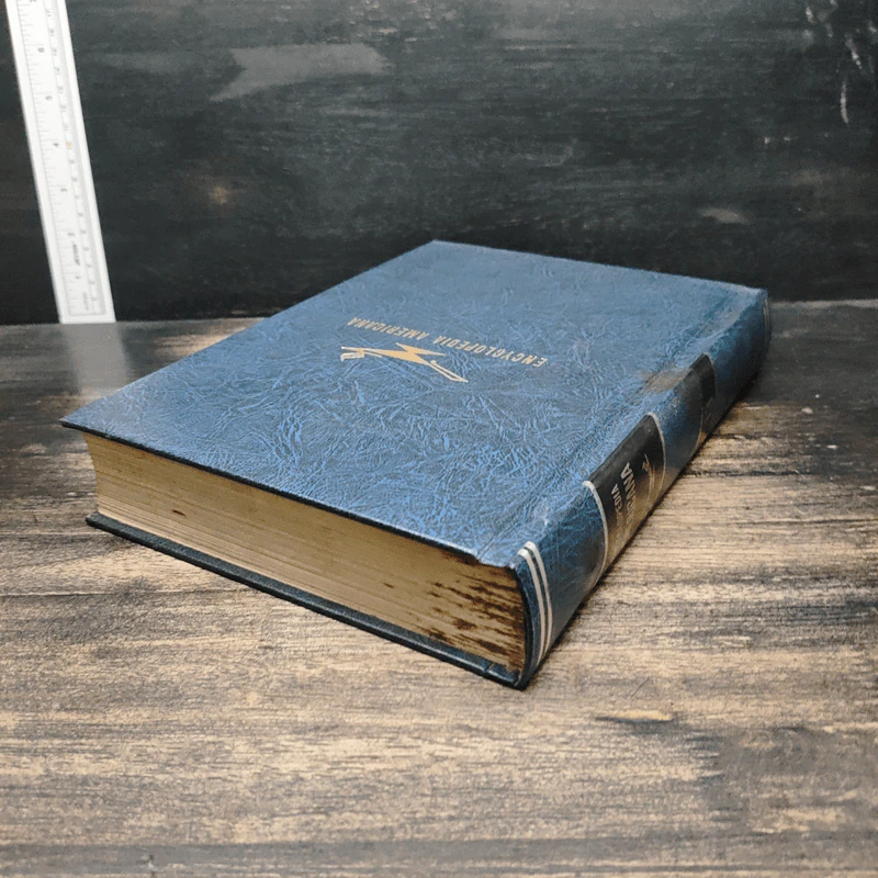 Encyclopedia Americana Vol.13 รูปที่ 5