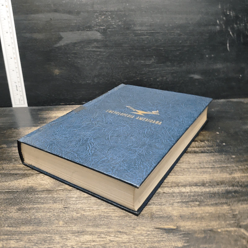 Encyclopedia Americana Vol.13 รูปที่ 4