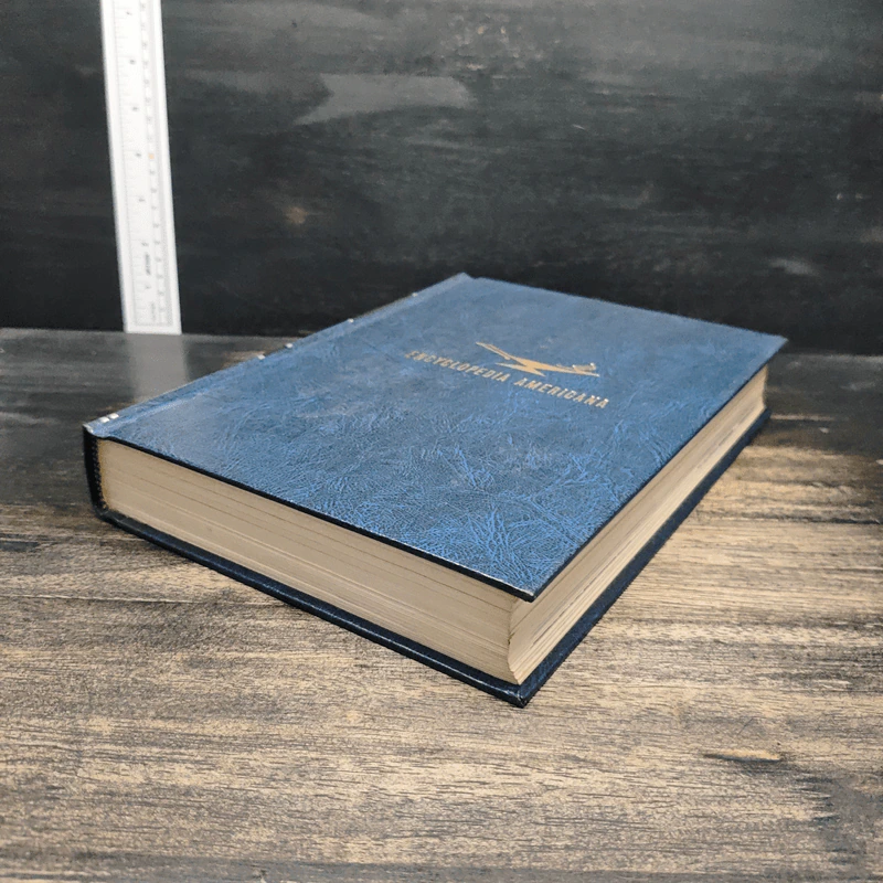 Encyclopedia Americana Vol.12 รูปที่ 4