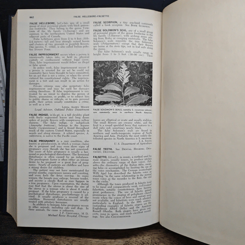 Encyclopedia Americana Vol.10 รูปที่ 10