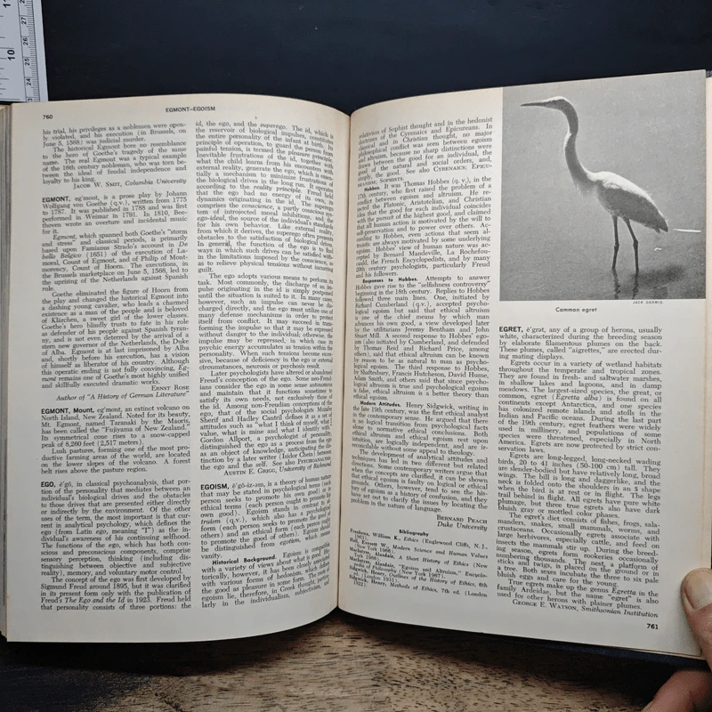 Encyclopedia Americana Vol.9 รูปที่ 9