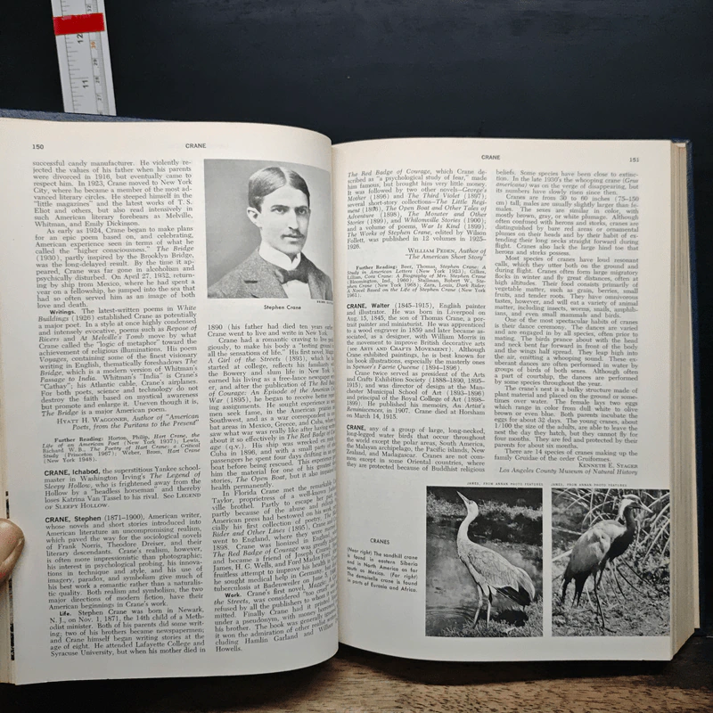 Encyclopedia Americana Vol.8 รูปที่ 9