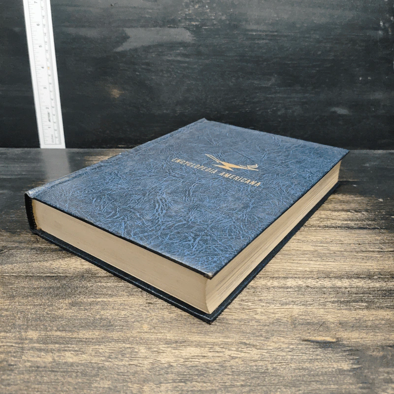 Encyclopedia Americana Vol.29 รูปที่ 4