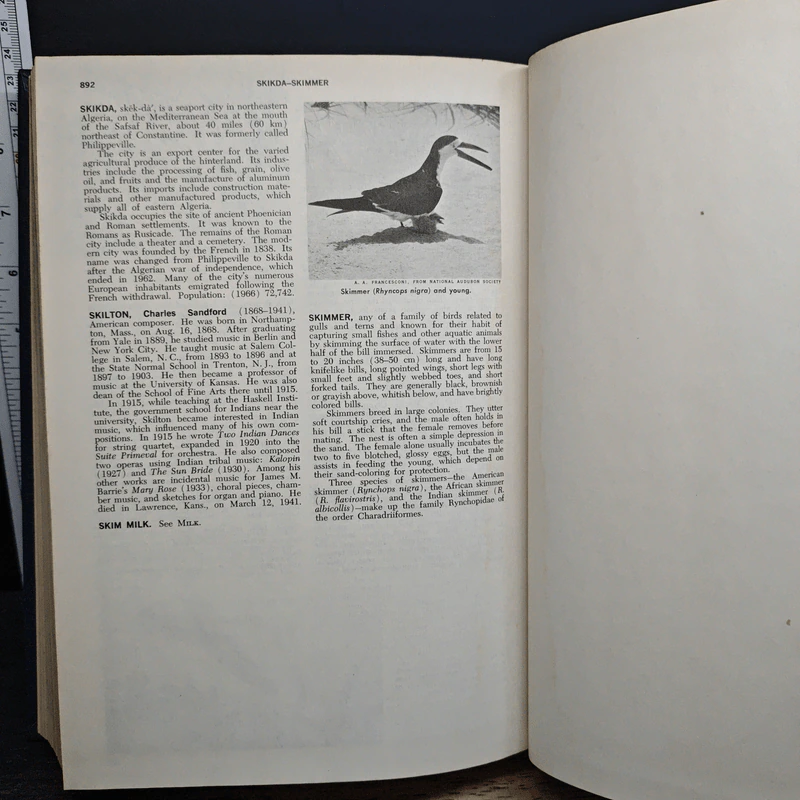 Encyclopedia Americana Vol.24 รูปที่ 10