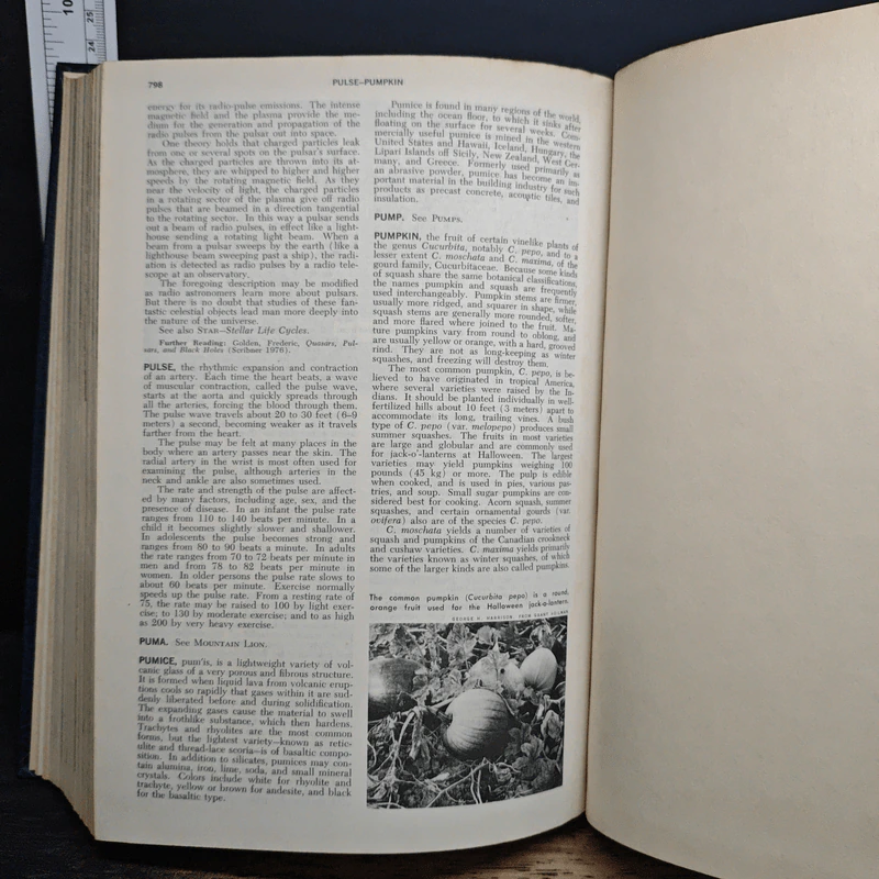 Encyclopedia Americana Vol.22 รูปที่ 10