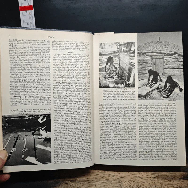 Encyclopedia Americana Vol.20 รูปที่ 8