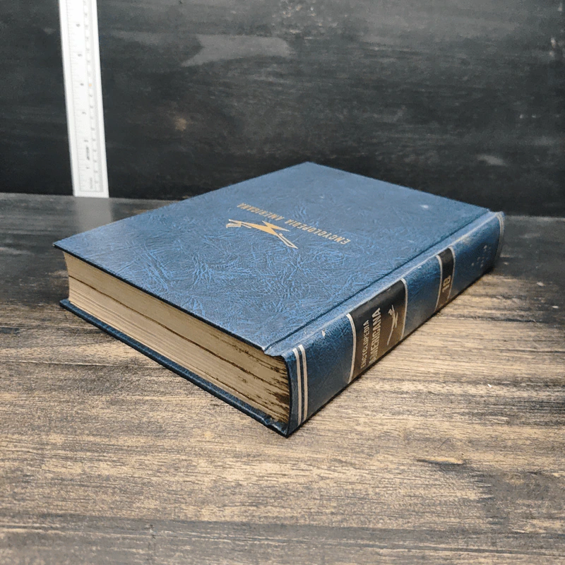 Encyclopedia Americana Vol.18 รูปที่ 5