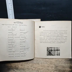 ตำนานชีวิต คาราวาน รูปที่ 14