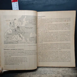 ประวัติศาสตร์ศิลปะตะวันตก History Of Western Art - กำจร สุนพงษ์ศรี รูปที่ 9