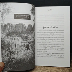 พลังแห่งชีวิต รูปที่ 8
