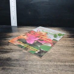 สีสันพรรณไม้ในสวน รูปที่ 4