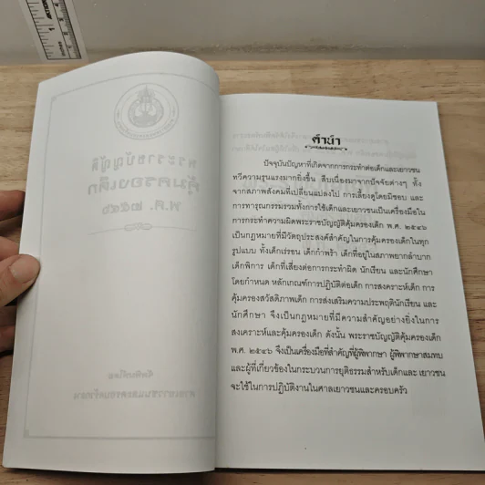พระราชบัญญัติคุ้มครองเด็ก พ.ศ.2546 รูปที่ 6