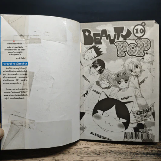 Beauty Pop 10 เล่มจบ รูปที่ 5