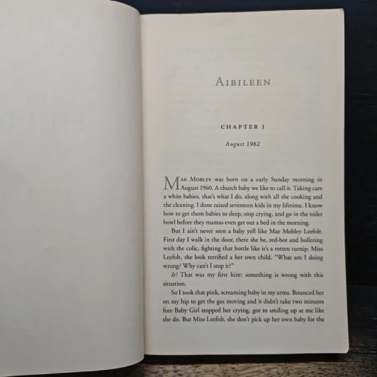 The Help a novel - Kathryn Stockett รูปที่ 7