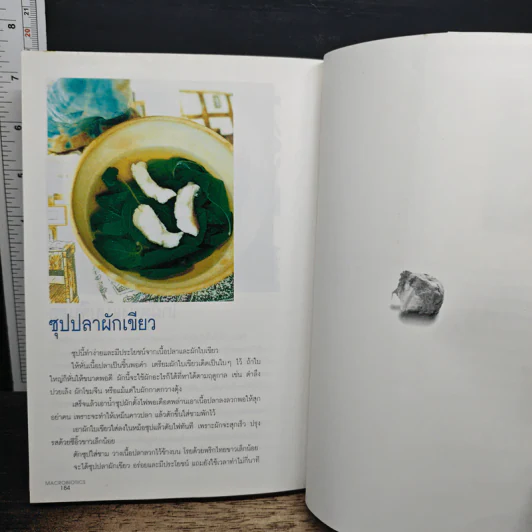 มาใช้ชีวิตแบบแมคโครไบโอติกส์ การกินอาหารและใช้ชีวิตกับธรรมชาติ - สิทรา พรรณสมบูรณ์ รูปที่ 9