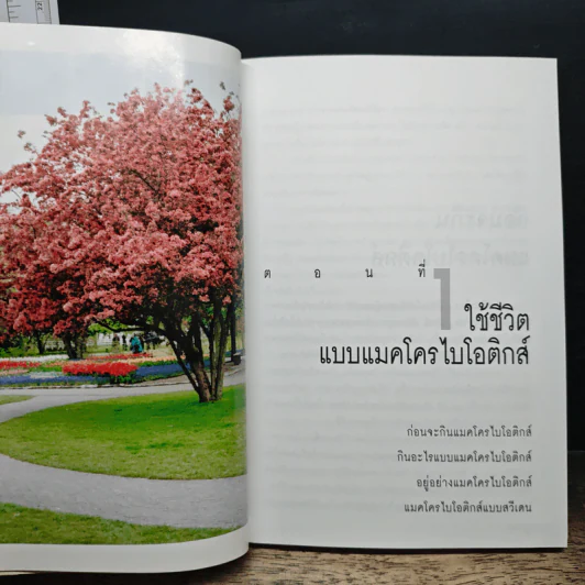 มาใช้ชีวิตแบบแมคโครไบโอติกส์ การกินอาหารและใช้ชีวิตกับธรรมชาติ - สิทรา พรรณสมบูรณ์ รูปที่ 8