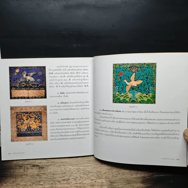 หนังสือ กระเบื้องถ้วยกะลาแตก: ชีวิตเบื้องหลังสมบัติผู้ดี - พิมพ์ประไพ พิศาลบุตร รูปที่ 9