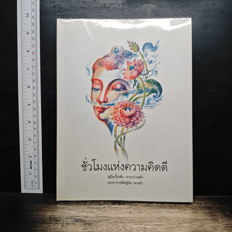 ชั่วโมงแห่งความคิดดี - พระอาจารย์มิตซูโอะ รูปที่ 1