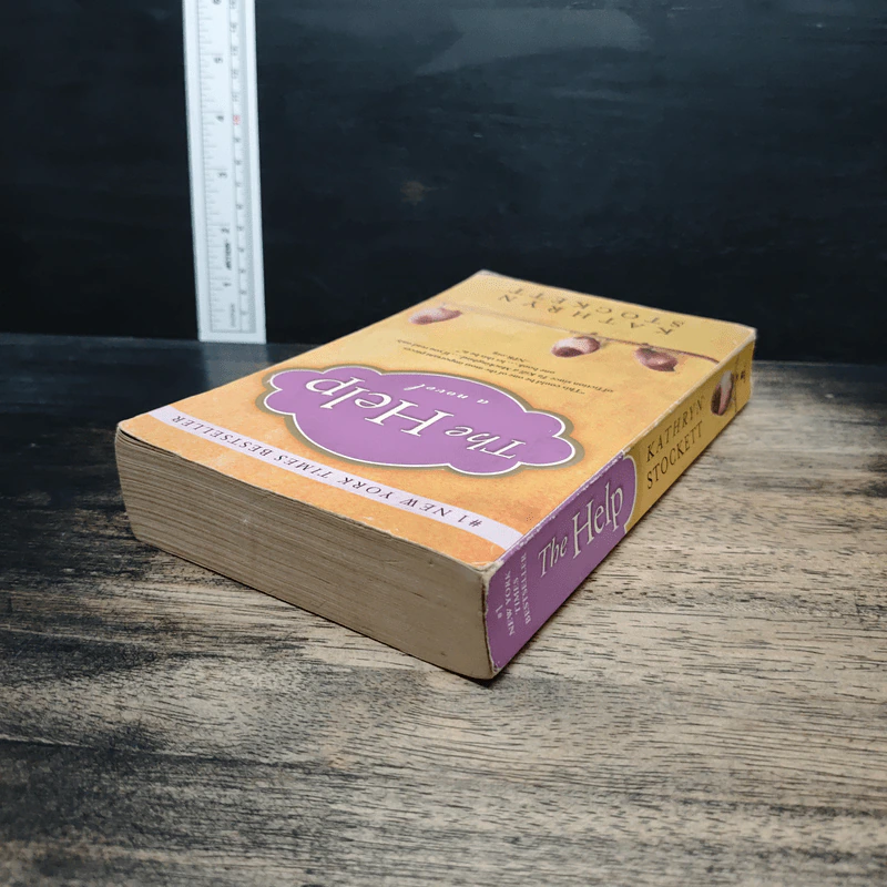 The Help a novel - Kathryn Stockett รูปที่ 5