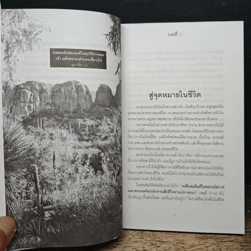 พลังแห่งชีวิต รูปที่ 8