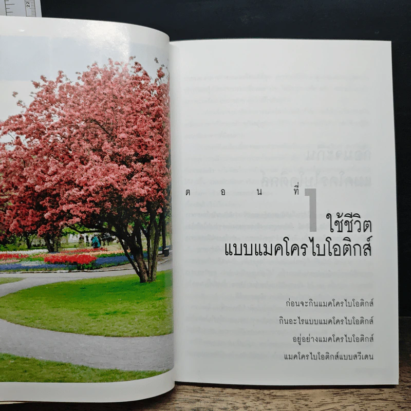 มาใช้ชีวิตแบบแมคโครไบโอติกส์ การกินอาหารและใช้ชีวิตกับธรรมชาติ - สิทรา พรรณสมบูรณ์ รูปที่ 8