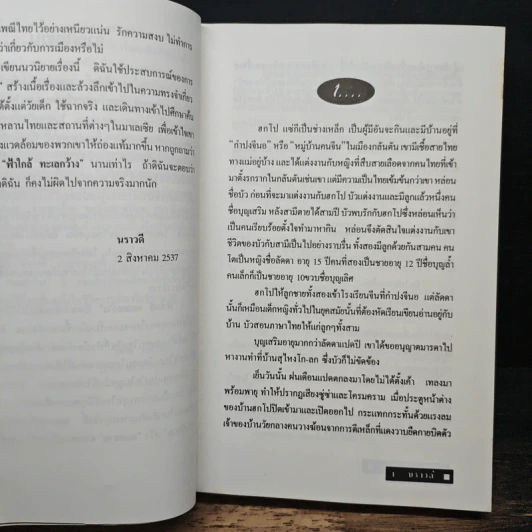 ฟ้าใกล้ ทะเลกว้าง - นราวดี รูปที่ 7