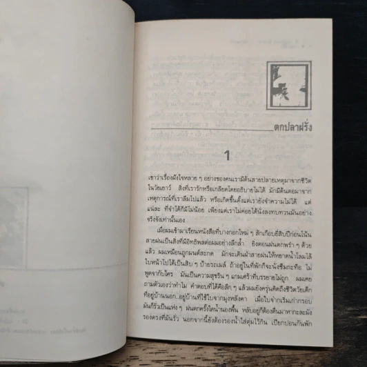 เร่ร่อนหาปลา - เสกสรรค์ ประเสริฐกุล รูปที่ 7