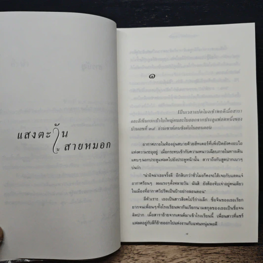 แสงตะวันในสายหมอก - ปิยะพร ศักดิ์เกษม รูปที่ 8
