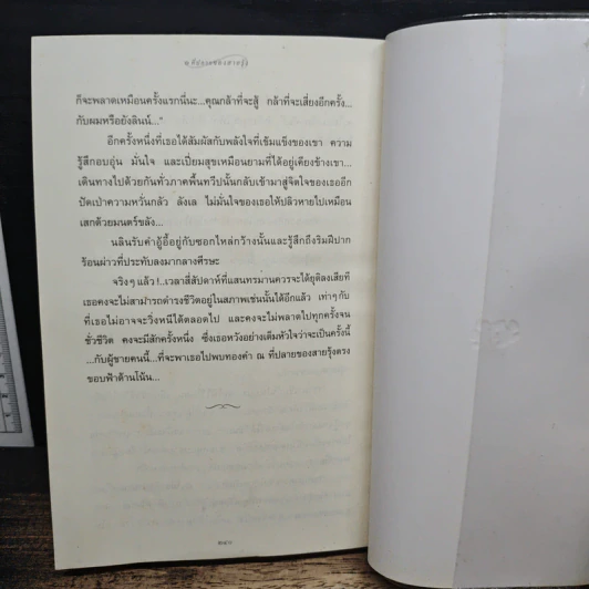 แสงตะวันในสายหมอก - ปิยะพร ศักดิ์เกษม รูปที่ 10