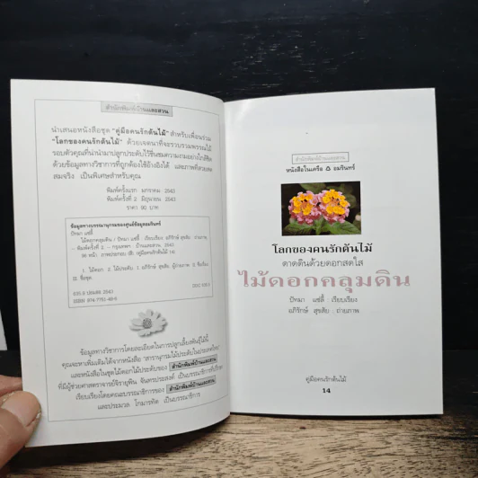 คู่มือคนรักต้นไม้ ไม้ดอกคลุมดิน - ปัทมา แซ่ลี้ รูปที่ 6
