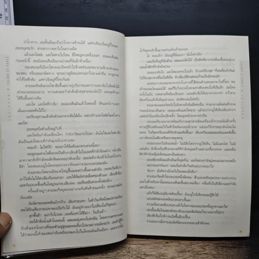 เกาะลับแล Island Bones - พี.เจ.พาร์ริช รูปที่ 8