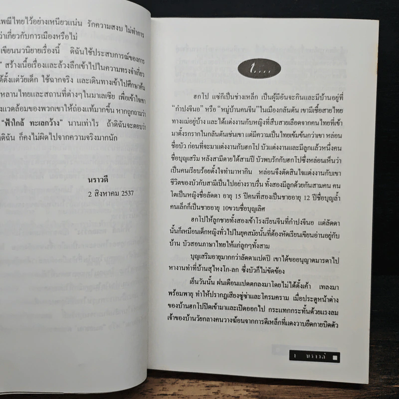 ฟ้าใกล้ ทะเลกว้าง - นราวดี รูปที่ 7