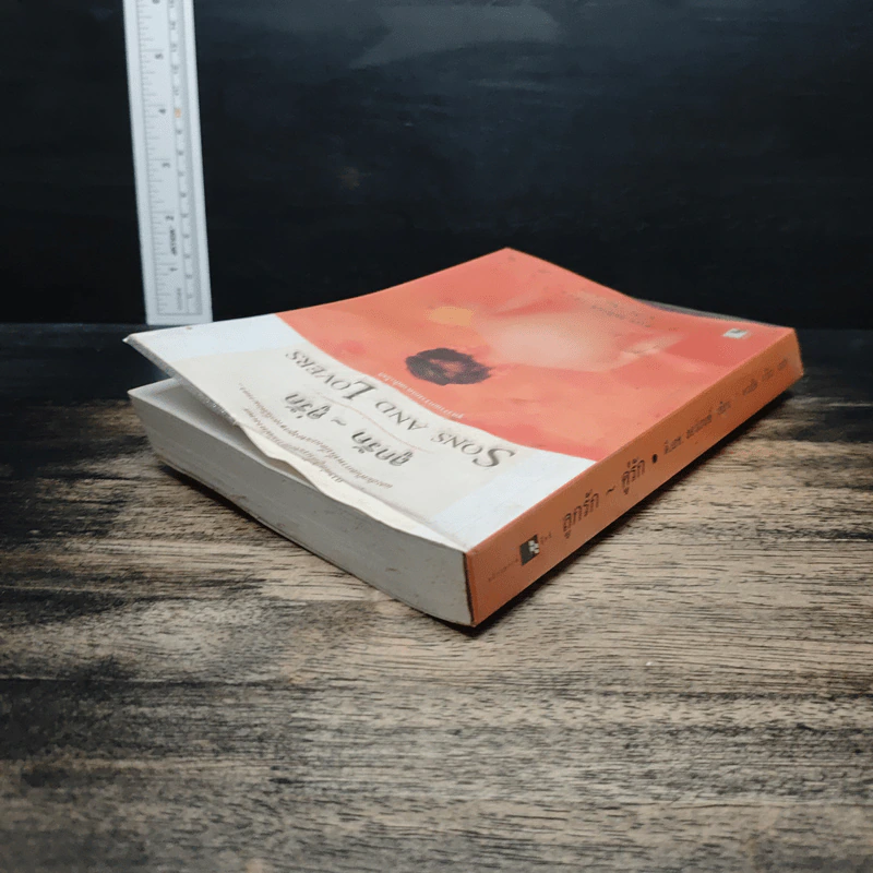 ลูกรัก คู่รัก Sons and Lovers - ดี.เอช.ลอเรนซ์ รูปที่ 5